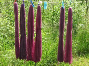 Wool dyed with cochineal.