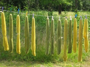 Wool dyed with birch leeves.
